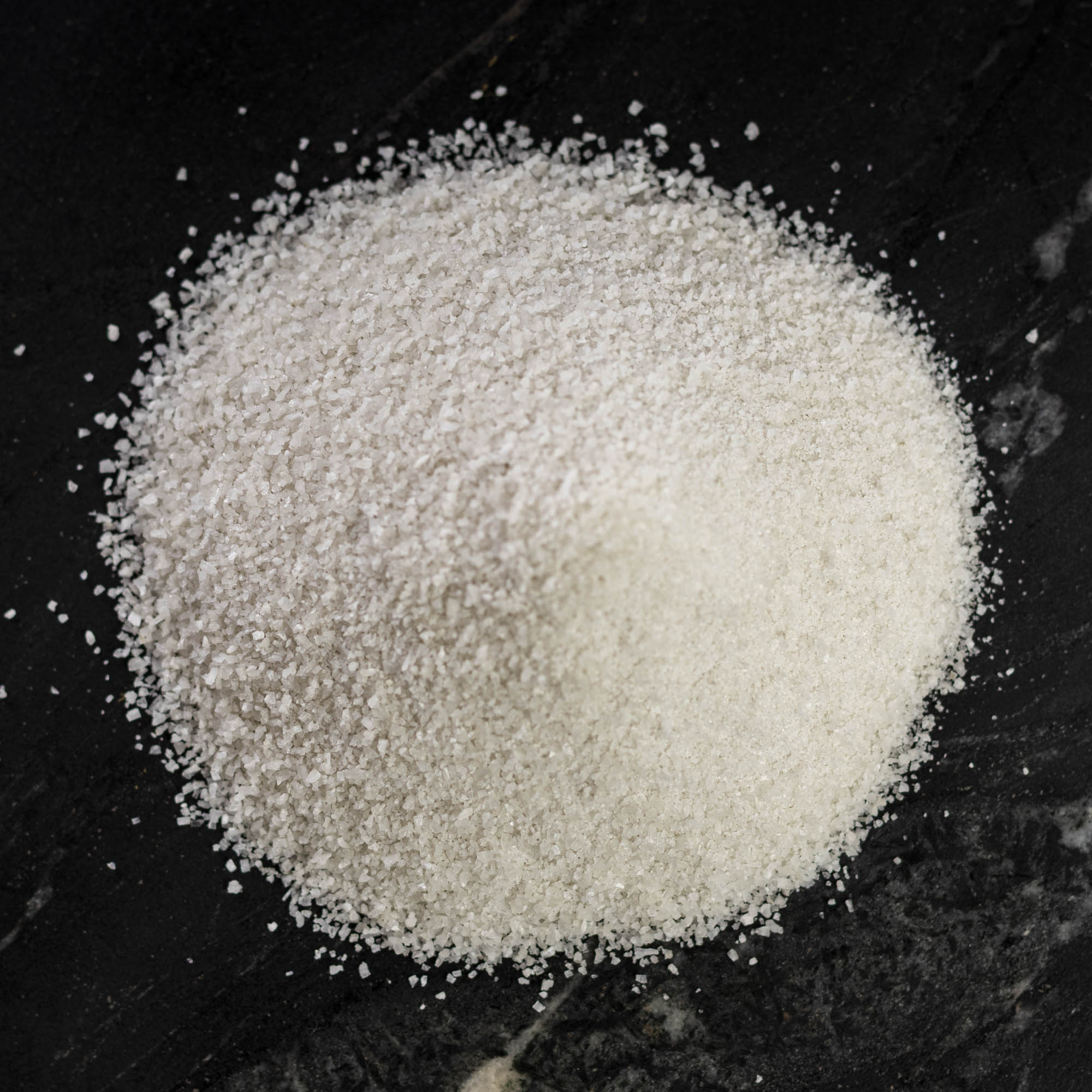 French Grey Sea Salt (Sel Gris) | Fine & Coarse Bulk | SF Salt Co