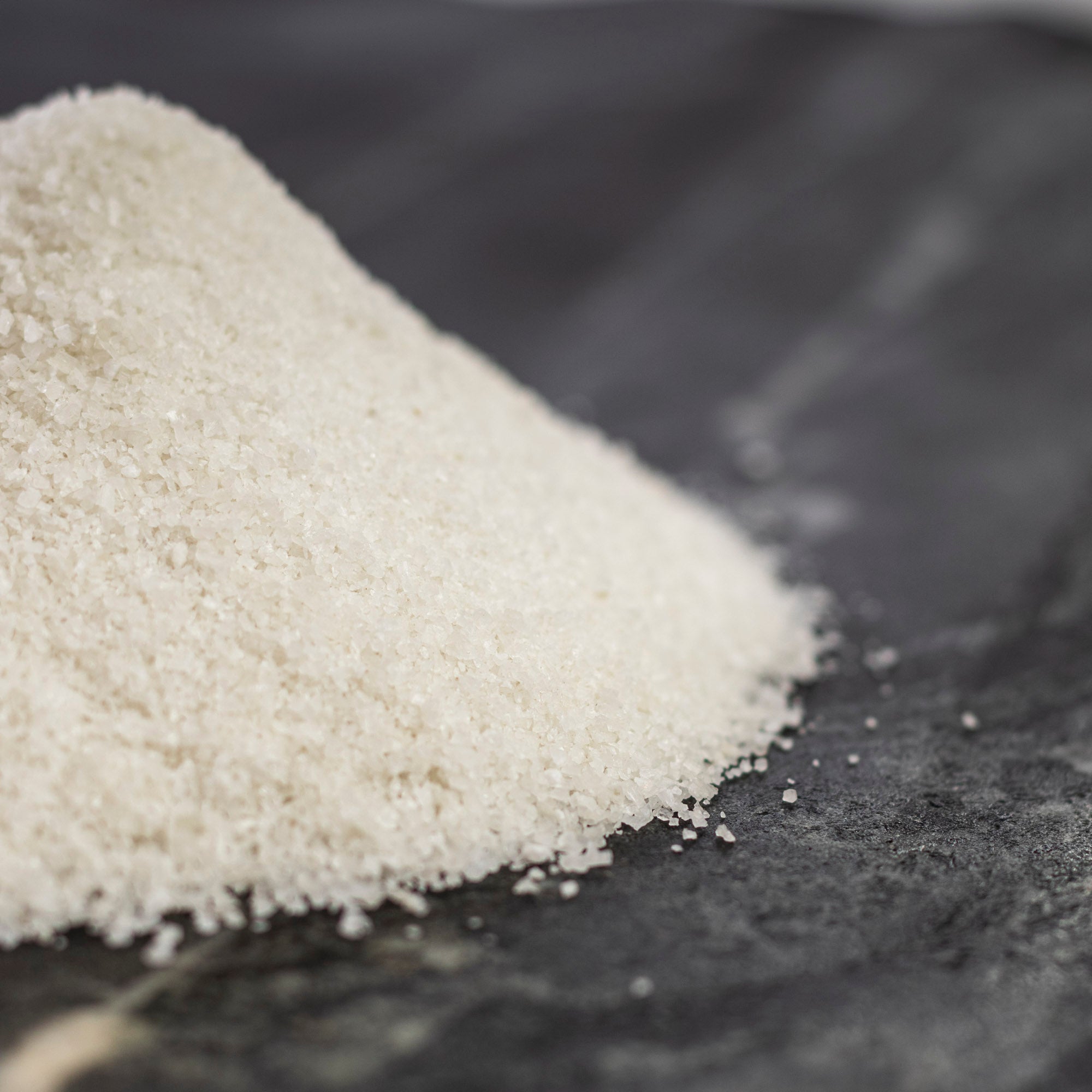 French Grey Sea Salt (Sel Gris) | Fine & Coarse Bulk | SF Salt Co